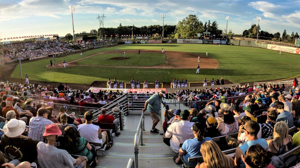 Mavericks Independent Baseball League