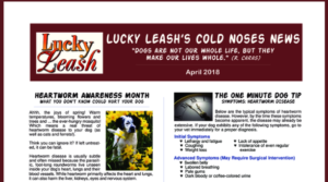 Lucky Leash Salem Dog Training Newsletter