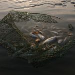 Ransomware: Will You Get Caught In the Net?