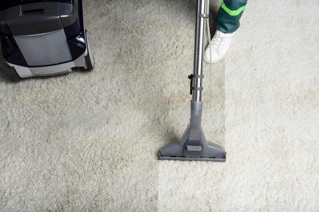 a worker cleaning a carpet professionally