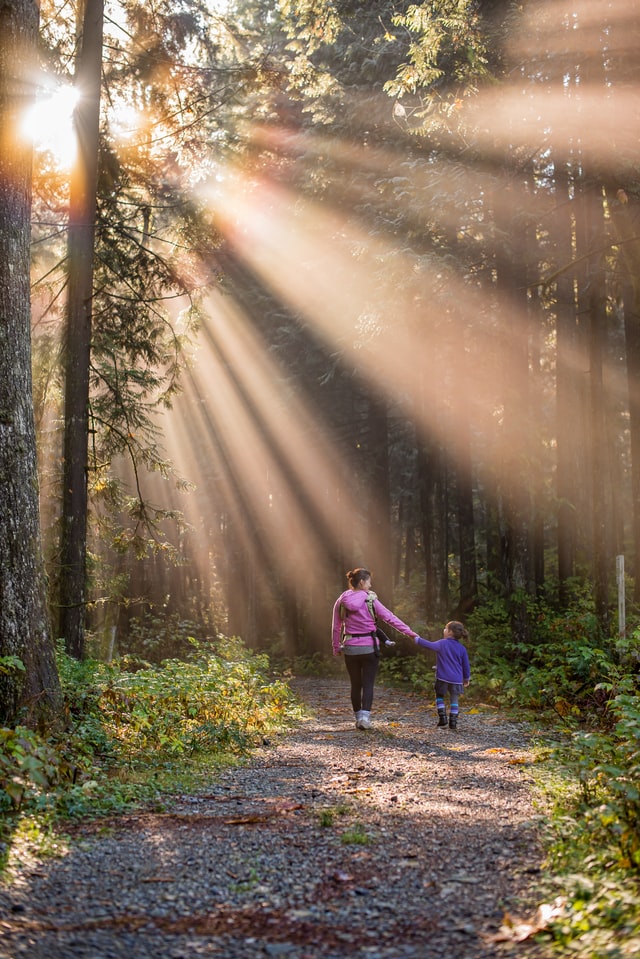 a parent and child walking in the woods