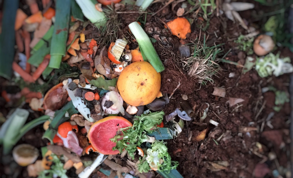 Food and yard waste in a compost pile