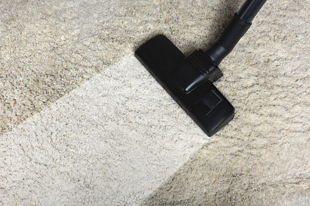 How to Choose a Carpet Cleaning Company - WhirLocal