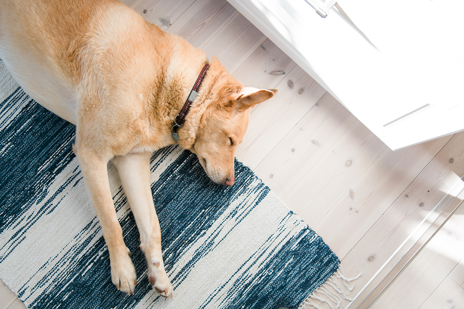 Tips and Tricks for Cleaning Area Rugs
