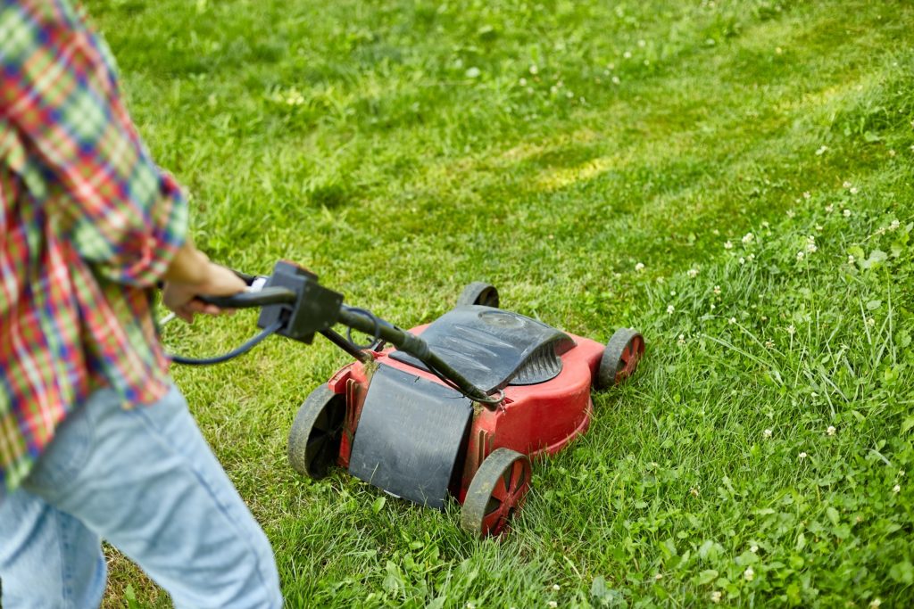 Summer Lawn WhirLocal