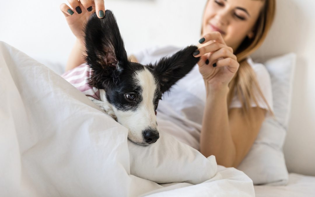 Why You Might Feel Sad After Getting a Puppy