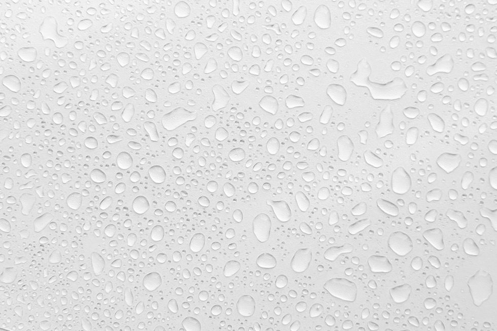 How to Reduce Condensation in Your Bathroom WhirLocal