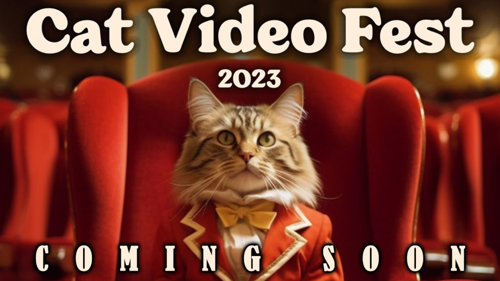 Cat Video Fest