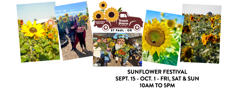 Sunflower Festival